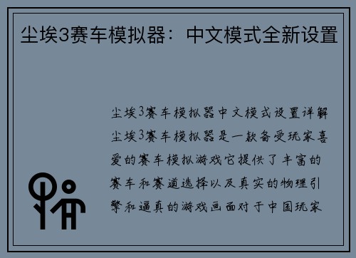 尘埃3赛车模拟器：中文模式全新设置